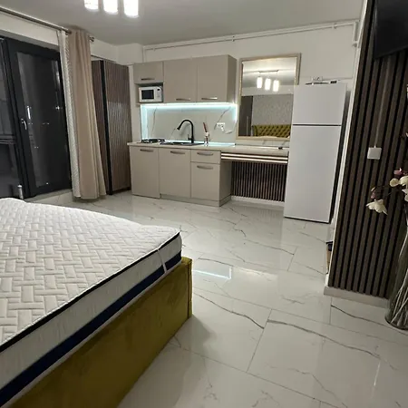 Anias View Of The Black Sea 45 * Navodari